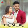 About DIL SE DIL Song